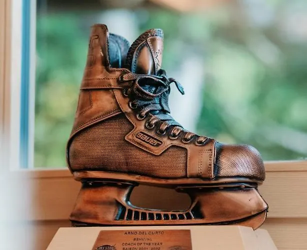 A&y Luxury Alpine View Kamin בקתה דאבוס