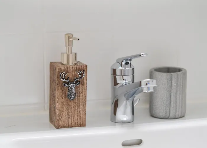 A&y Luxury Alpine View Kamin